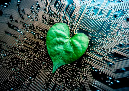 沙巴体育官网案例